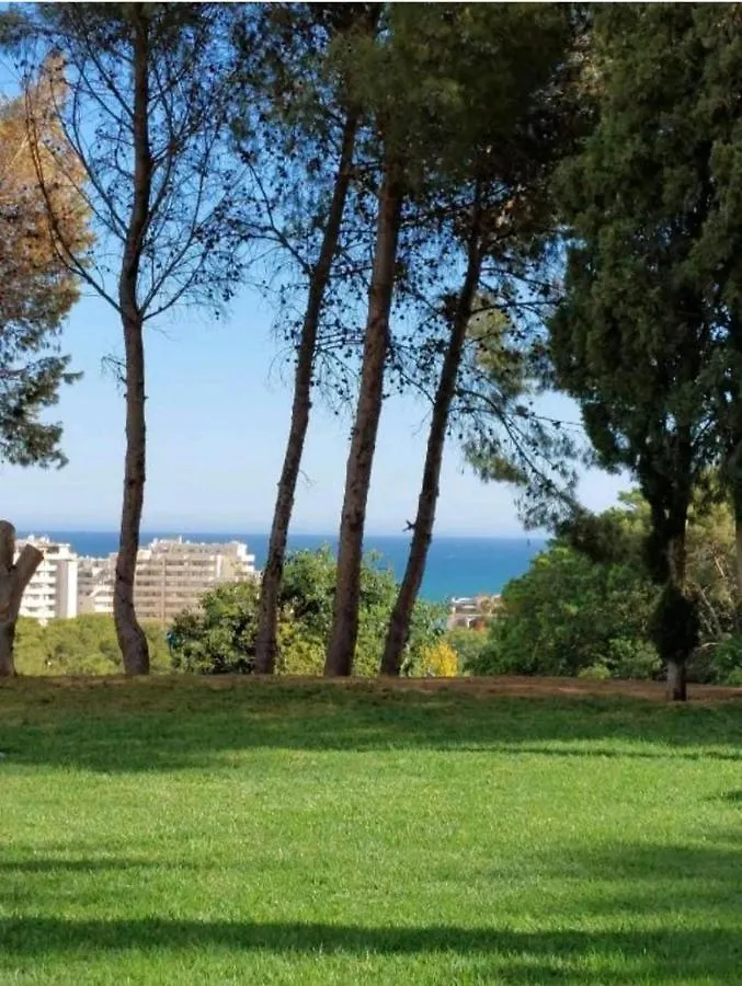 Benalmadena Costa Apartment